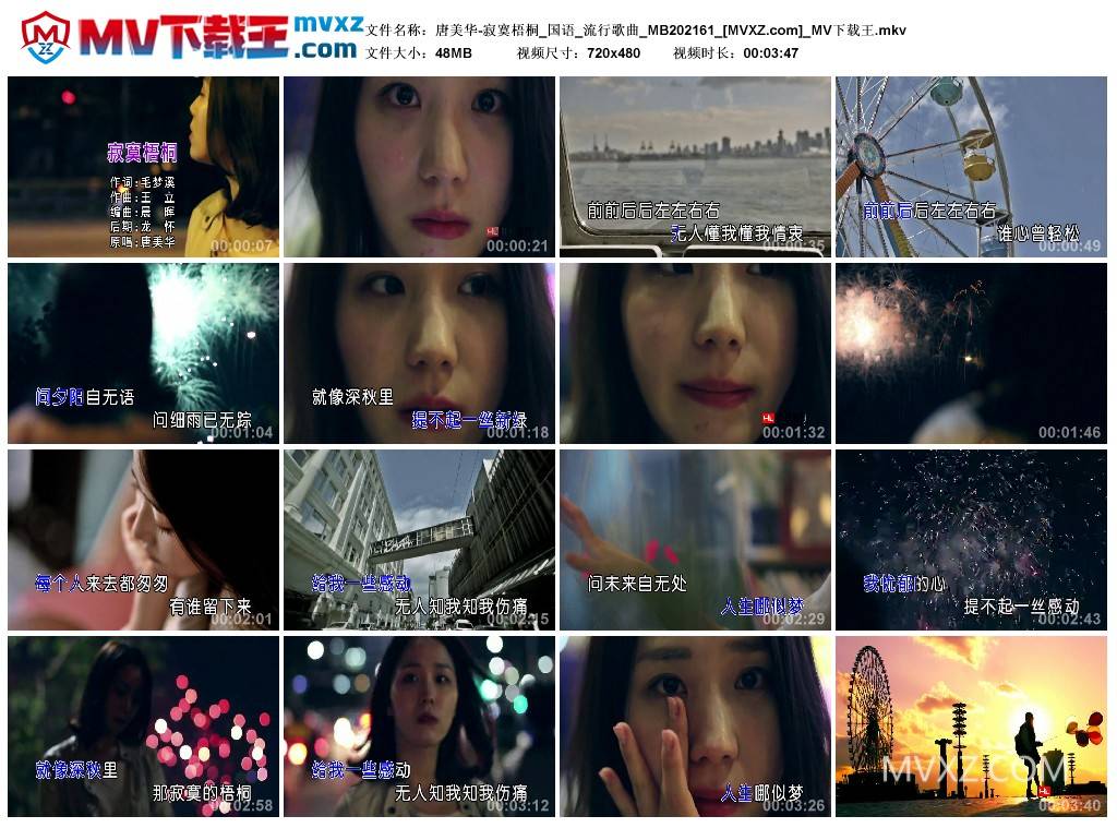 唐美华-寂寞梧桐_国语_流行歌曲_MB202161